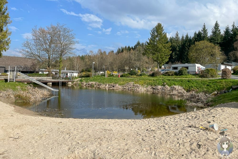 Natur-Schwimmteich vom Camping Harfenmühle