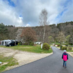 Stellplätze auf dem Camping Harfenmühle