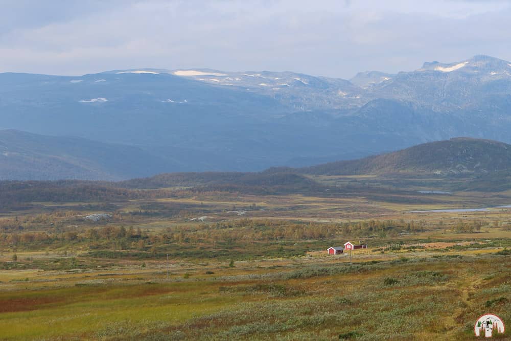 Tolle Aussichten auf einer Fjordnorwegen-Rundreise