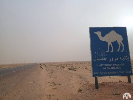 Fahrt durch die Wüste in Tunesien