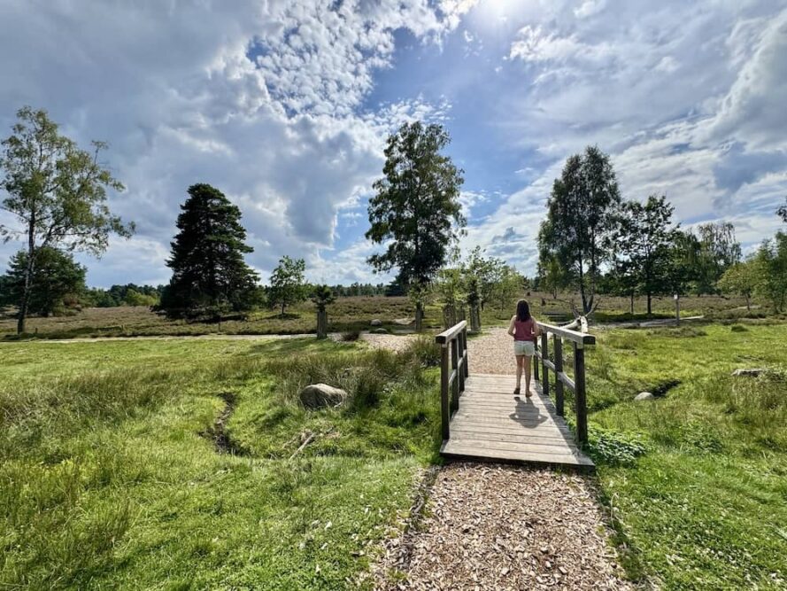 Lüneburger Heide